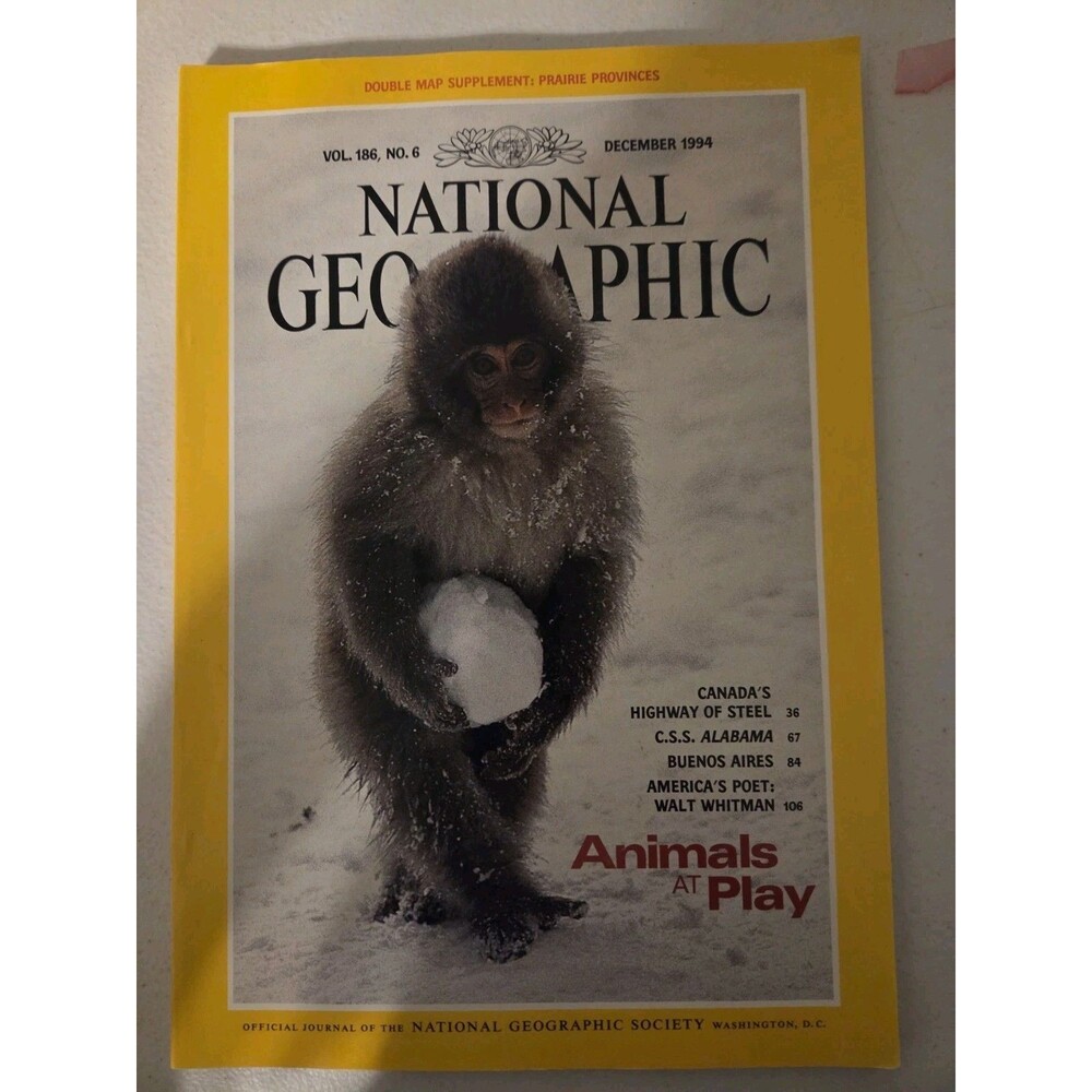 national geographic magazine December 1994 Animals At Play